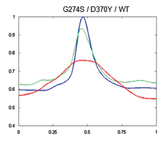 IN profiles WT cells