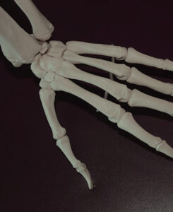 skeleton hand