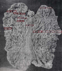 Diffuse Gastric Cancer map